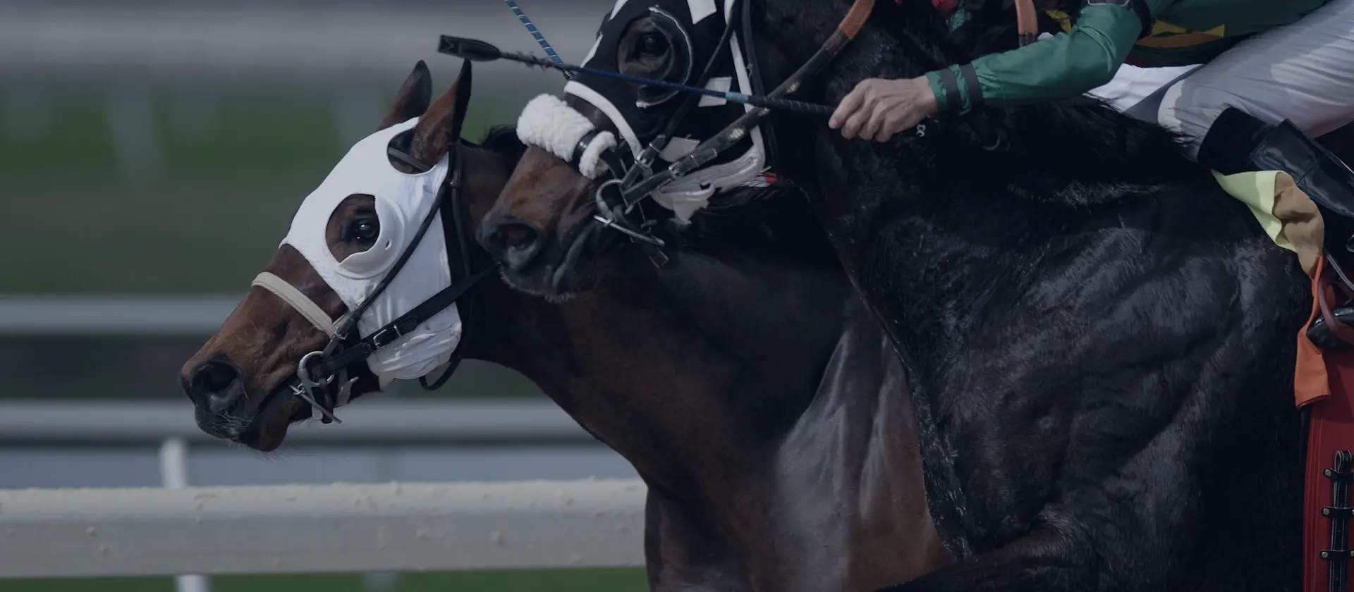 Racehorses and jockeys at full gallop — Cheltenham Festival betting guide
