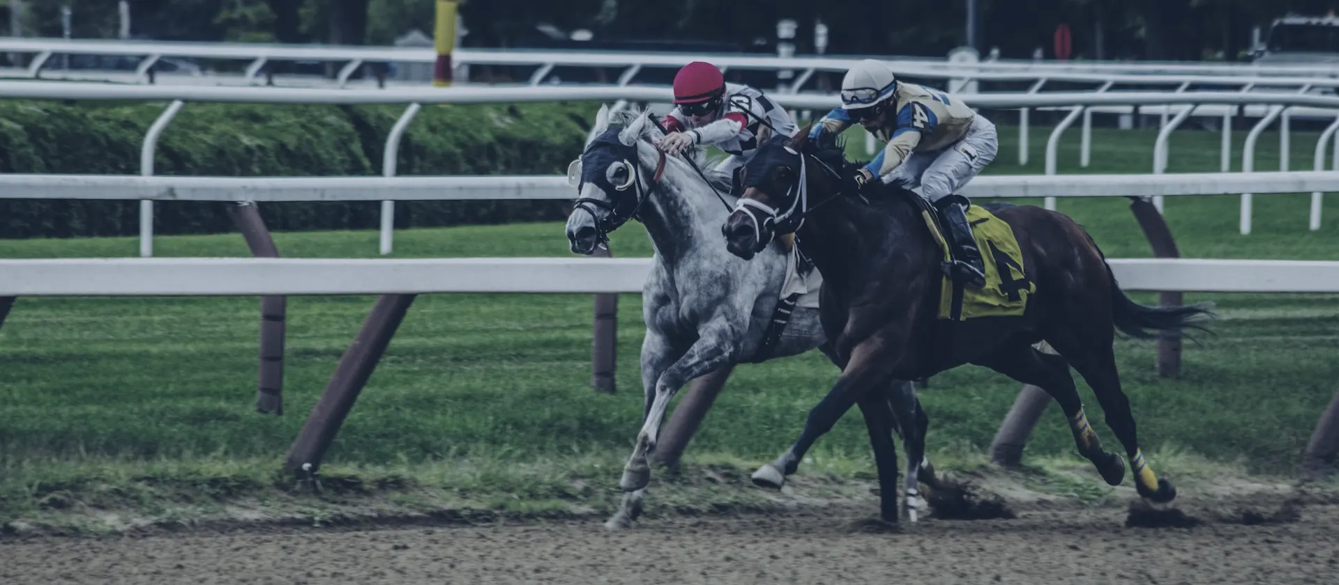 Racehorses and jockeys at full gallop — Ebor betting guide