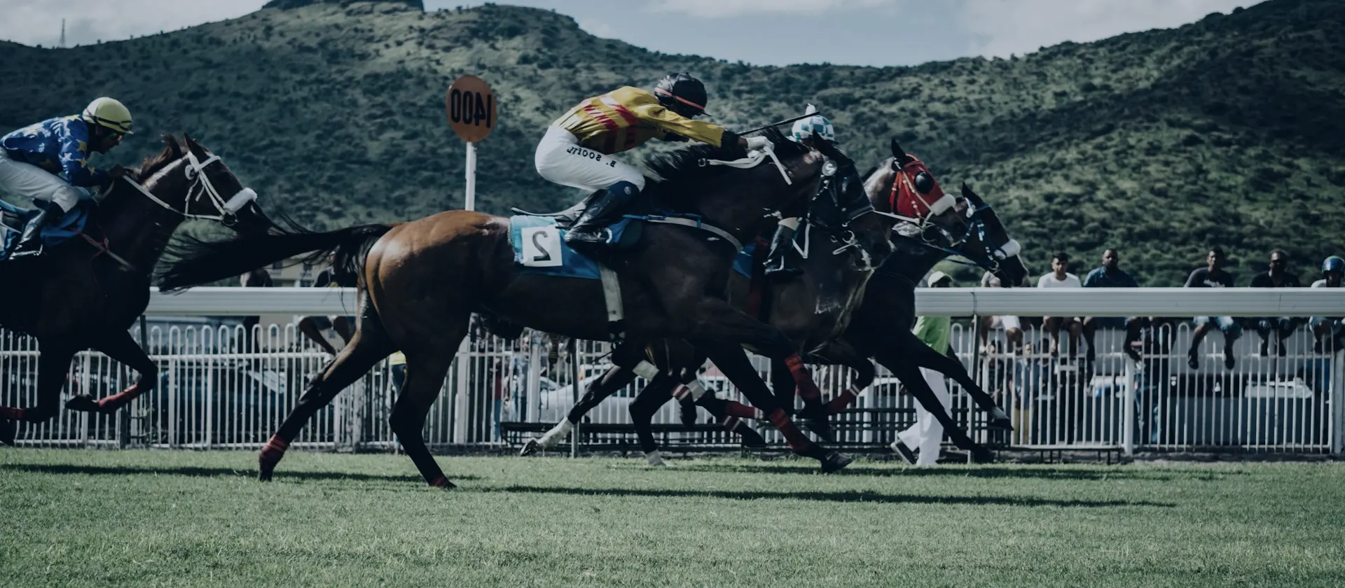 Racehorses and jockeys at full gallop — Grand National betting guide