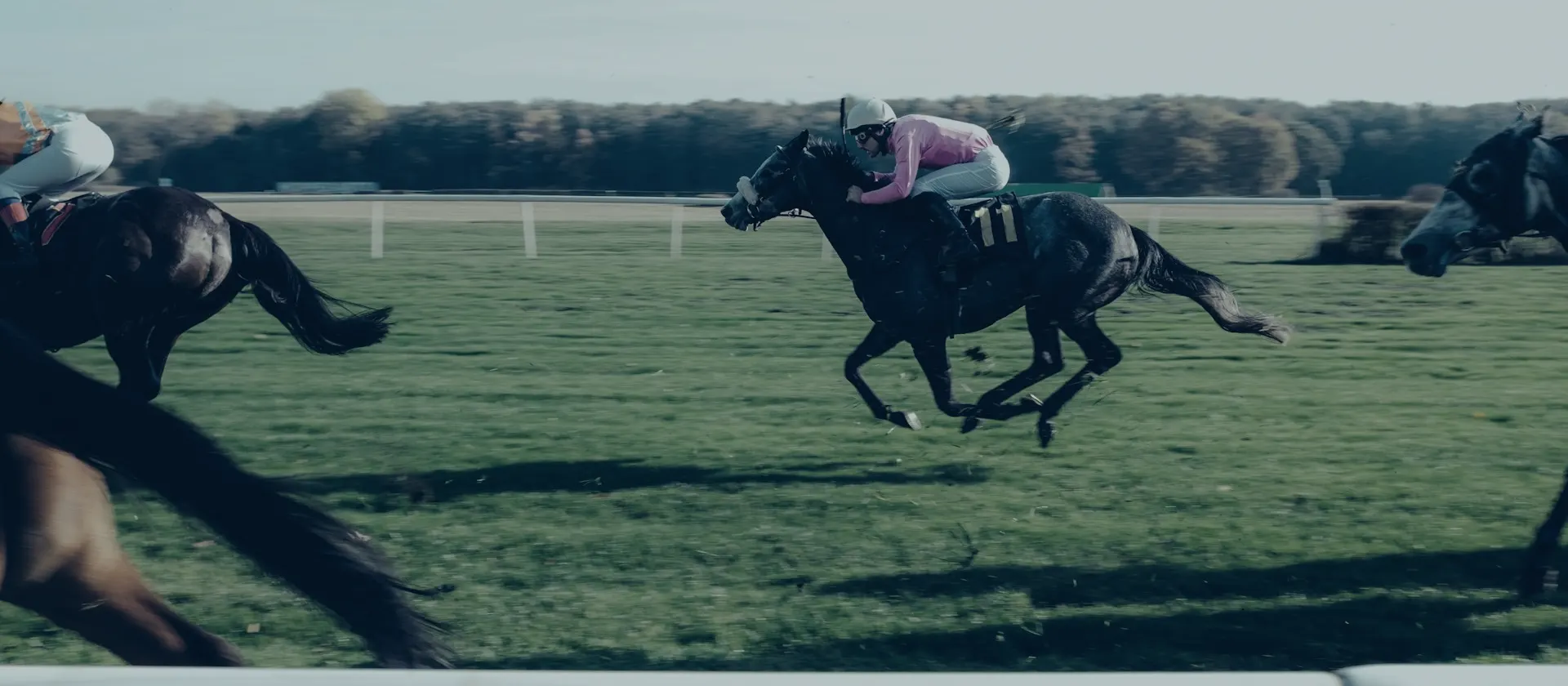 Racehorses and jockeys at full gallop — Guineas betting guide