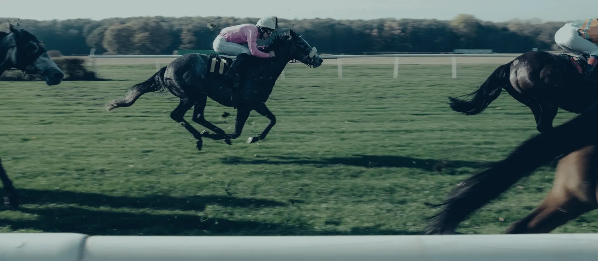 Racehorses and jockeys at full gallop — July Festival betting guide