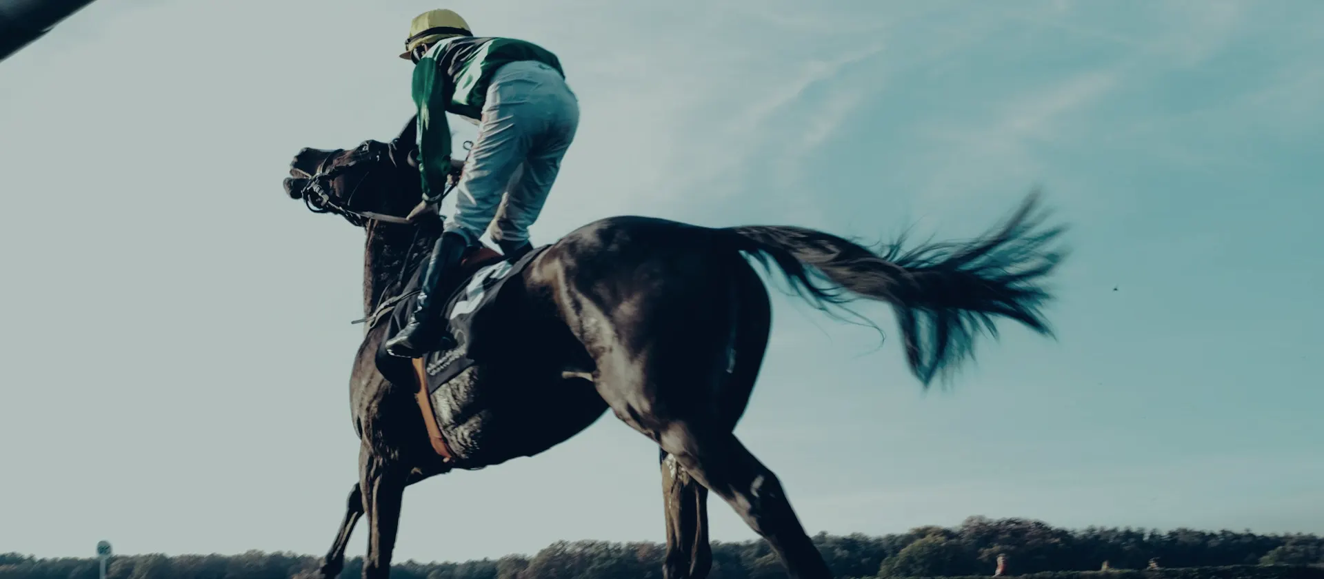 Racehorses and jockeys at full gallop — Scottish Grand National betting guide