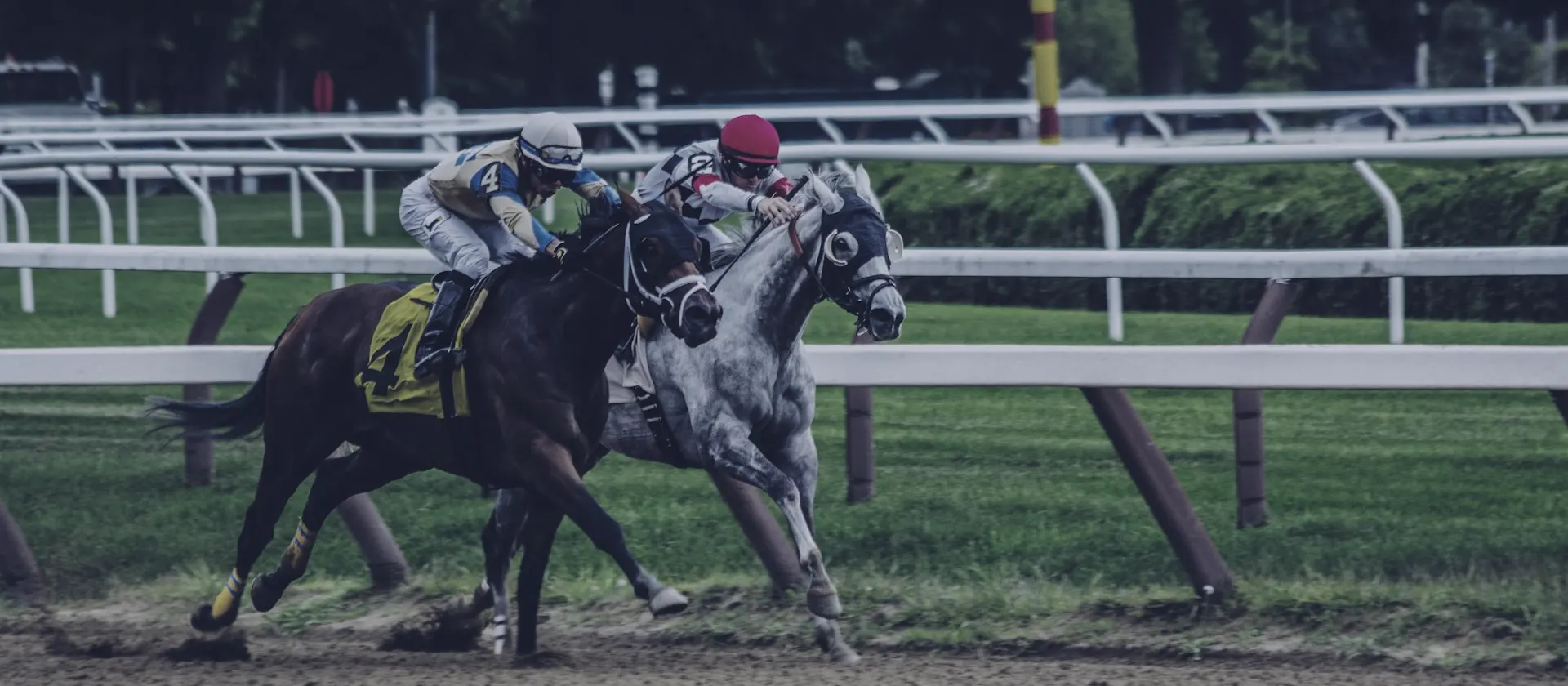 Racehorses and jockeys at full gallop — St Leger betting guide